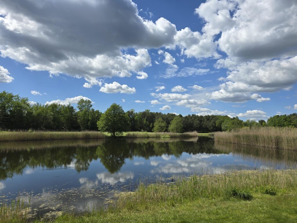 Golfplatz Gatow (2025)