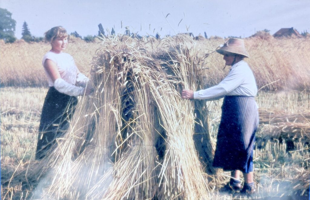 Christa Bartel (links) auf dem Feld