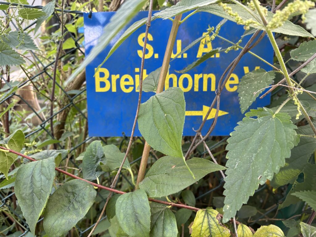 Braucht dieser Ort eine Renaturierung? Breitehorn im Podcast U100.