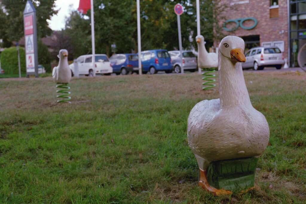 Am Ende kommt die Spende: Installation im Kladower Zentrum